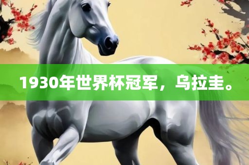 1930年世界杯冠军，乌拉圭。