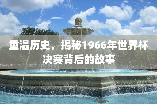 重温历史，揭秘1966年世界杯决赛背后的故事沧州禾苗留学中介服务有限公司