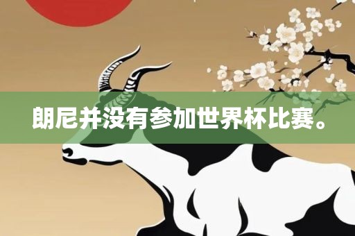 朗尼并没沧州禾苗留学中介服务有限公司有参加世界杯比赛。