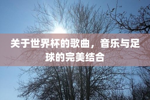 关于世界杯的歌曲，音乐与足球的完美结合沧州禾苗留学中介服务有限公司
