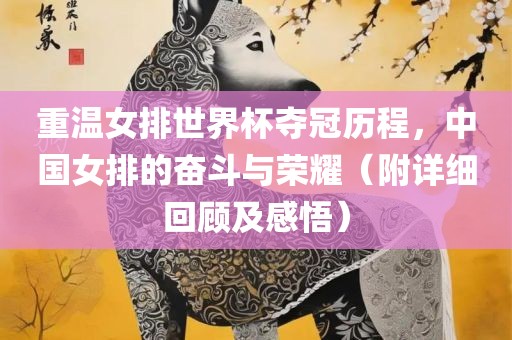 重温女排世界杯夺冠历程，中国女排的奋斗与荣耀（附详细回顾及感悟）沧州禾苗留学中介服务有限公司