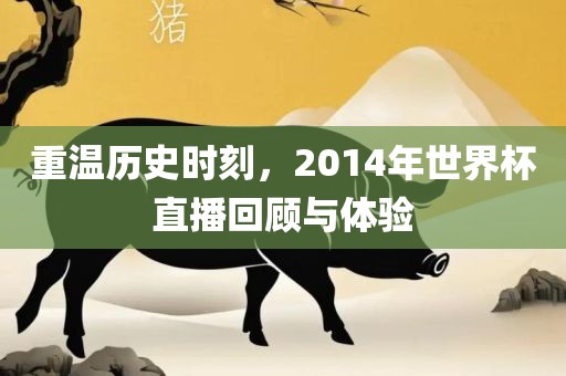 重温历史时刻，2014年世界杯直播回顾与体验