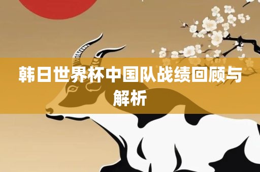 韩日世界杯中国队战绩回顾与解析