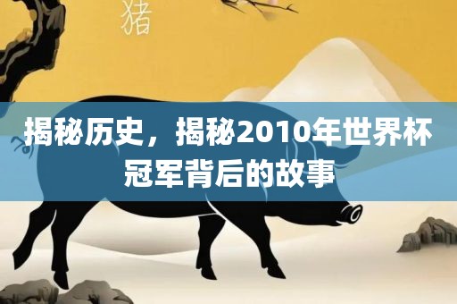 揭秘历史，揭秘2010年世界杯冠军背后的故事