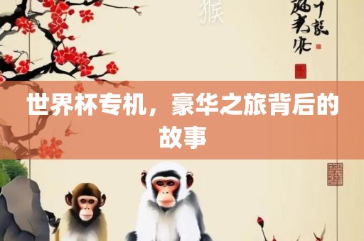 世界杯专机，豪华之旅背后的故事沧州禾苗留学中介服务有限公司