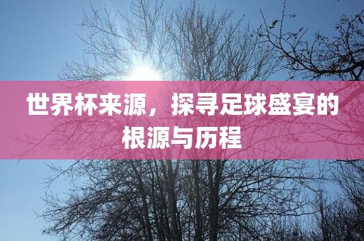 世界杯来源，探寻足球盛宴的根源与历程沧州禾苗留学中介服务有限公司