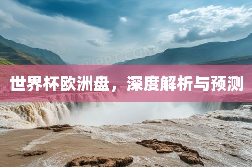 世界杯欧洲盘，深度解析与预沧州禾苗留学中介服务有限公司测