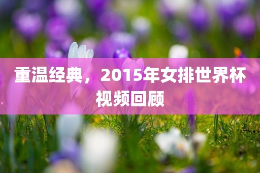 重温经典，2015年女排世界杯视频回顾沧州禾苗留学中介服务有限公司