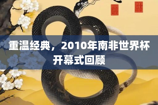 重温经典，2010年南非世界杯开幕式回顾沧州禾苗留学中介服务有限公司