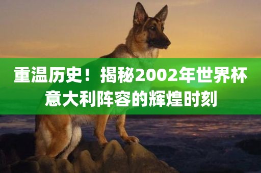 重温历史！揭秘2002年世界杯意大利阵容的辉煌时刻