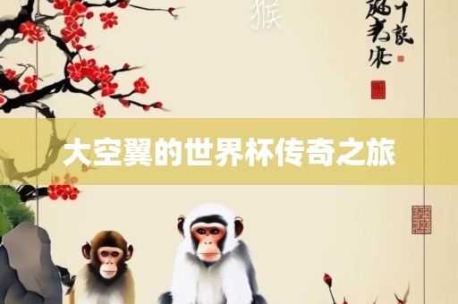 大空翼的世界杯传奇之旅