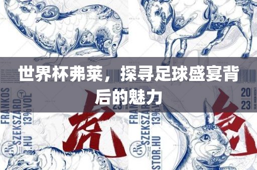 世界杯弗莱，探寻足球盛宴背后的魅力