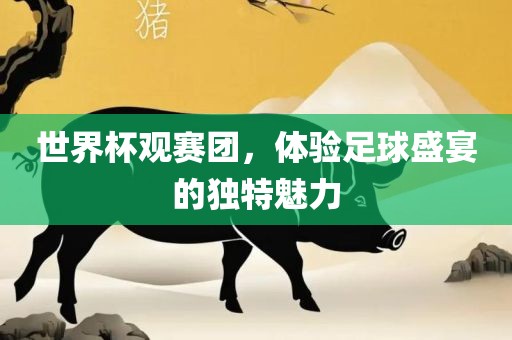 世界杯观赛团，体验足球盛宴的独特魅力
