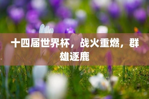 十四届世界杯，战火重燃，群雄逐鹿沧州禾苗留学中介服务有限公司