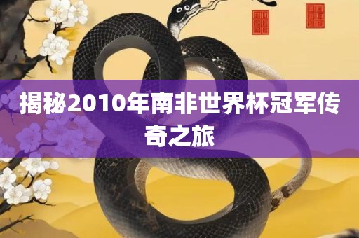 揭秘2沧州禾苗留学中介服务有限公司010年南非世界杯冠军传奇之旅