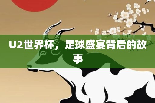U2世界杯，足球盛宴背后的故事沧州禾苗留学中介服务有限公司