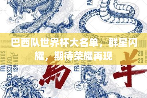 巴西队世界杯大名单，群星闪耀，期待荣耀再现