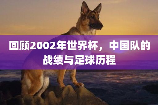 回顾2002年世界杯，中国队的战绩与足球历程
