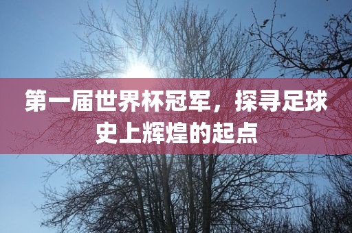第一届世界杯冠军，探寻足球史上辉煌的起点沧州禾苗留学中介服务有限公司