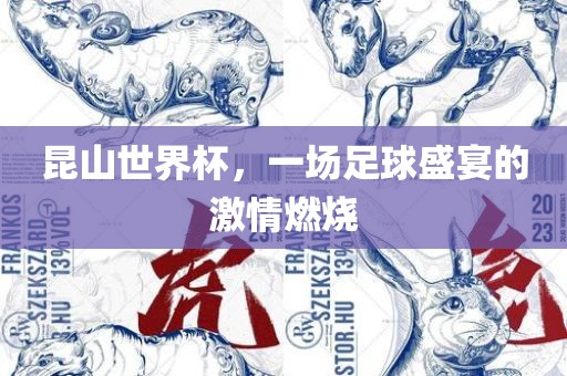 昆山世界杯，一场足球盛宴的激情燃烧沧州禾苗留学中介服务有限公司