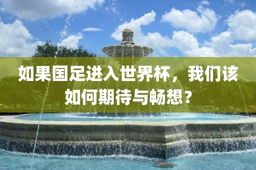 如果国足进入世界杯，我们该如何期待与畅想？
