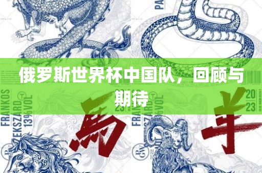 俄罗斯世界杯中国队，回顾与期待沧州禾苗留学中介服务有限公司