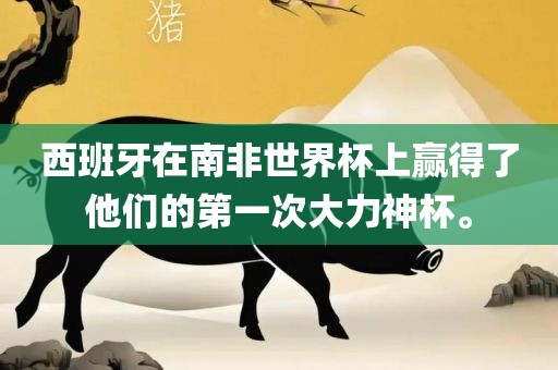 西班牙在南非世界杯上赢得了他们的第一次大力神杯。沧州禾苗留学中介服务有限公司