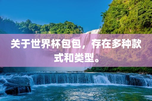 关于世界杯包包，存在多种款式和类型。沧州禾苗留学中介服务有限公司