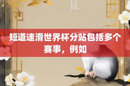 短道速滑世界杯分站包括多个赛事，例如