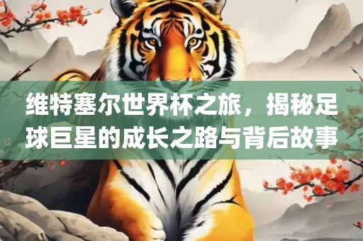 维特塞尔世界杯之旅，揭秘足球巨星的成长之路与背后故事沧州禾苗留学中介服务有限公司