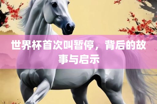 世界杯首次叫暂停，背后的故事与启示沧州禾苗留学中介服务有限公司
