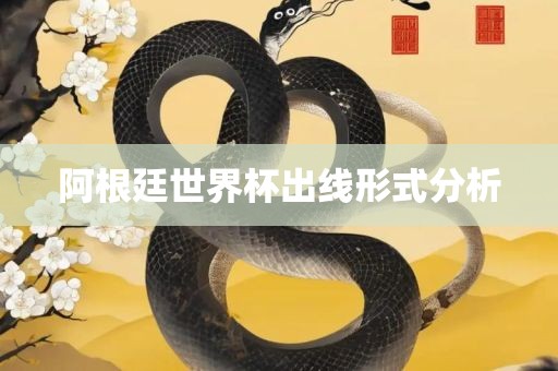 阿根廷世界杯出线形式分析