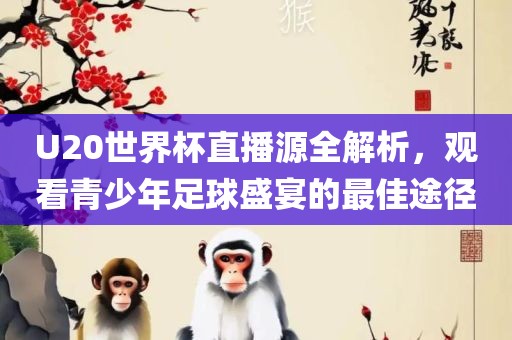 U20世界杯直播源全解析，观看青少年足球盛宴的最佳途径沧州禾苗留学中介服务有限公司