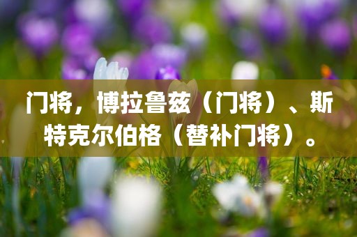 门将，博拉鲁兹（门将）、斯特克尔伯格（替补门将）。