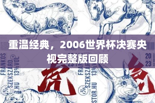 重温经典，2006世界杯决赛央视完整版回顾
