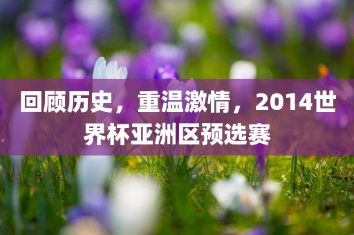 回顾历史，重温激情，2014世界杯亚洲区预选赛