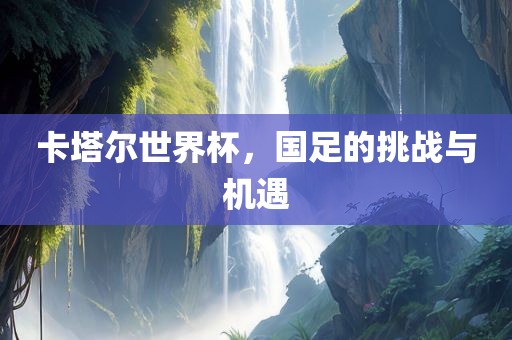 卡塔尔世界杯，国足的挑战与机遇