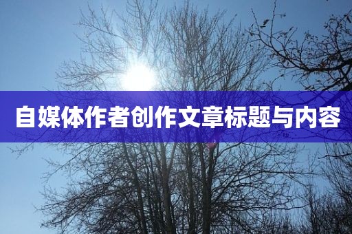 自媒体作者创作文章标题与内容