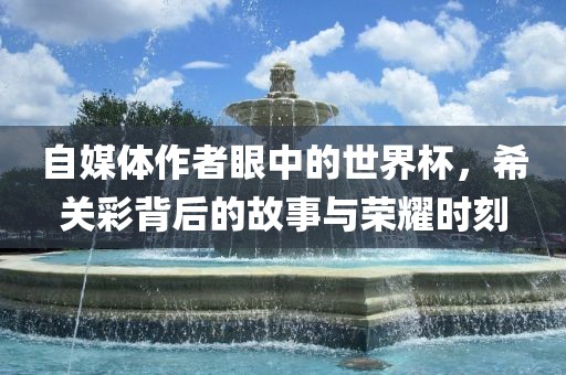 自媒体作者眼中的世界杯，希关彩背后的故事与荣耀时刻沧州禾苗留学中介服务有限公司