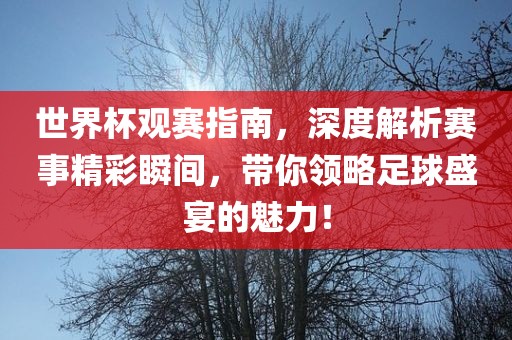 世界杯观赛指南，深度解析赛事精彩瞬间，带你领略足球盛宴的魅力！