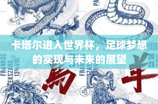 卡塔尔进入世界杯，足球梦想的实现与未来的展望