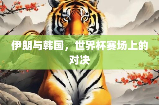 伊朗与韩国，世界杯赛场上的对决