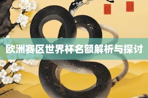 欧洲赛区世界杯名额解析与探讨沧州禾苗留学中介服务有限公司
