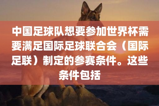 中国足球队想要参加世界杯需要满足国际足球联合会（国际足联）制定的参赛条件。这些条件包括