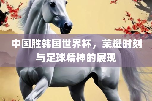 中国胜韩国世界杯，荣耀时刻与足球精神的展现沧州禾苗留学中介服务有限公司