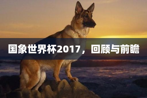 国象世界杯2017，回顾与前瞻