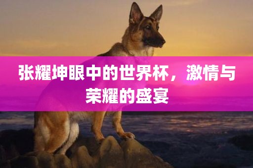 张耀坤眼中的世界杯，激情与荣耀的盛宴