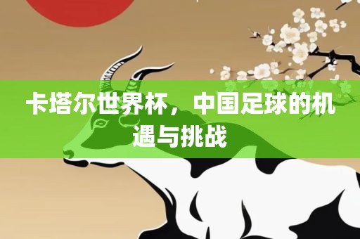 卡塔尔世界杯，中国足球的机遇与挑战