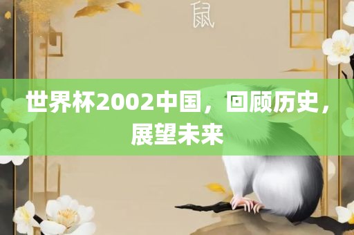 世界杯2002中国，回顾历史，展望未来沧州禾苗留学中介服务有限公司