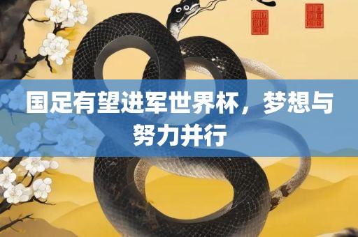 国足有望进军世界杯，梦想与努力并行